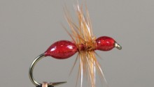 Transpar Ant Red