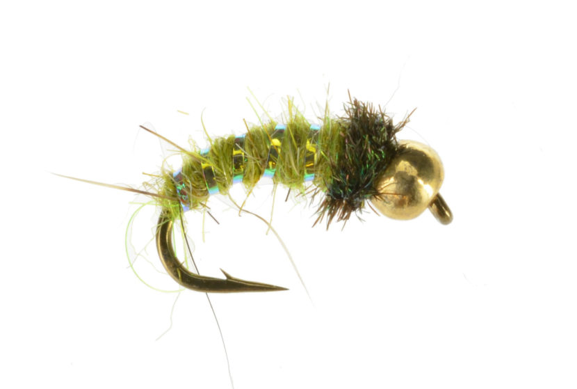BH Caddis Larva Olive Bighorn Flies