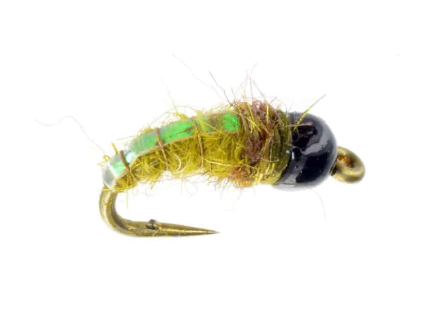 TB Electric Caddis Bighorn Flies